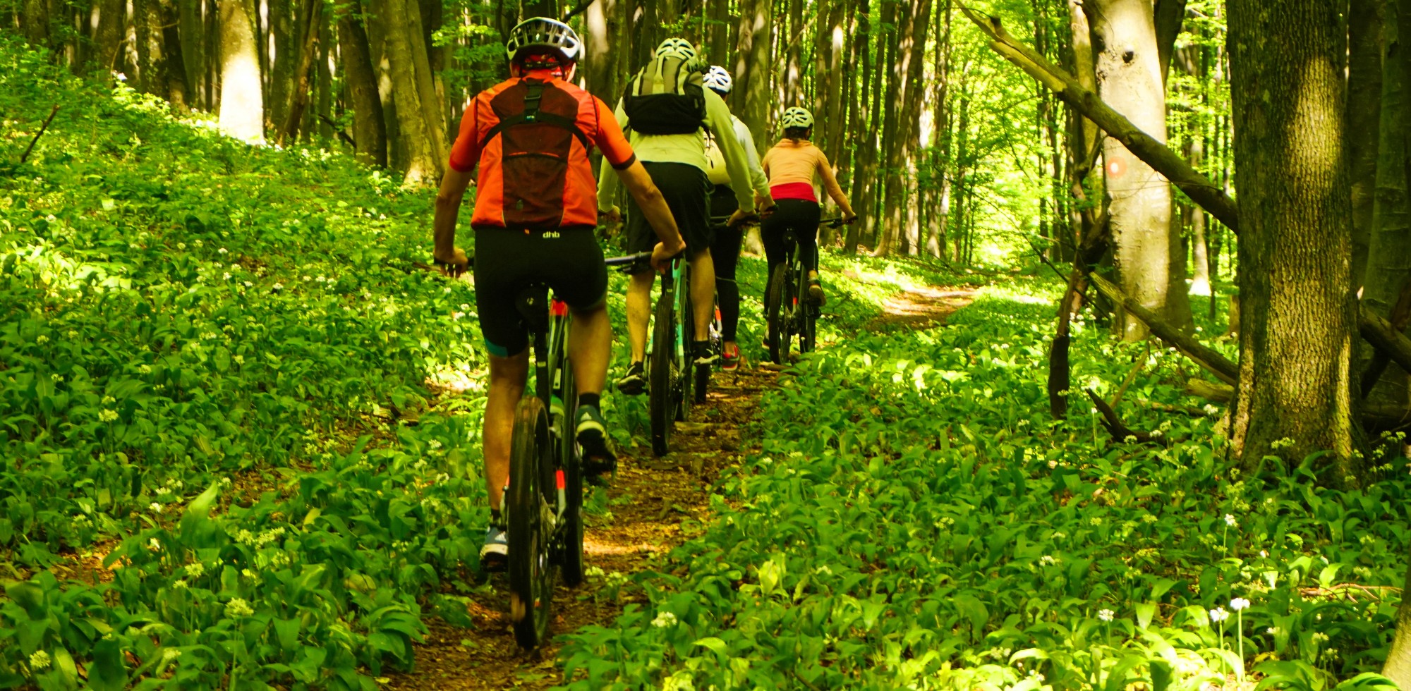 Turisti Ka Zajednice Zlatni Papuk Explore Slavonia